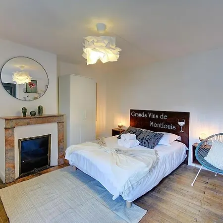 Grand - Proche Bord De Loire - Wifi Apartment Tours