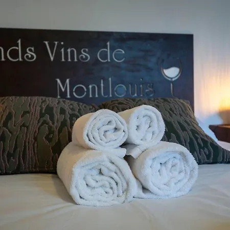 Grand - Proche Bord De Loire - Wifi Apartment *