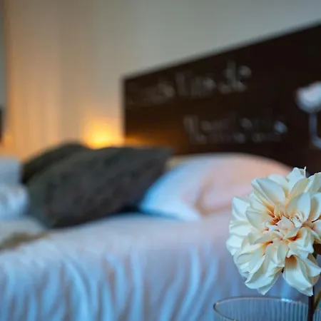 Appartamento Grand - Proche Bord De Loire - Wifi *