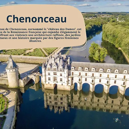 Apartment Grand - Proche Bord De Loire - Wifi *