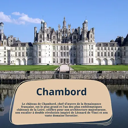 Grand - Proche Bord De Loire - Wifi Appartamento *