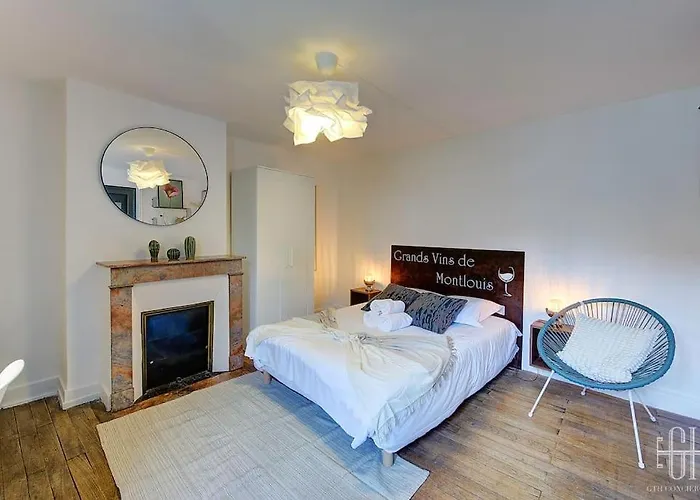 Grand - Proche Bord De Loire - Wifi Appartamento Tours