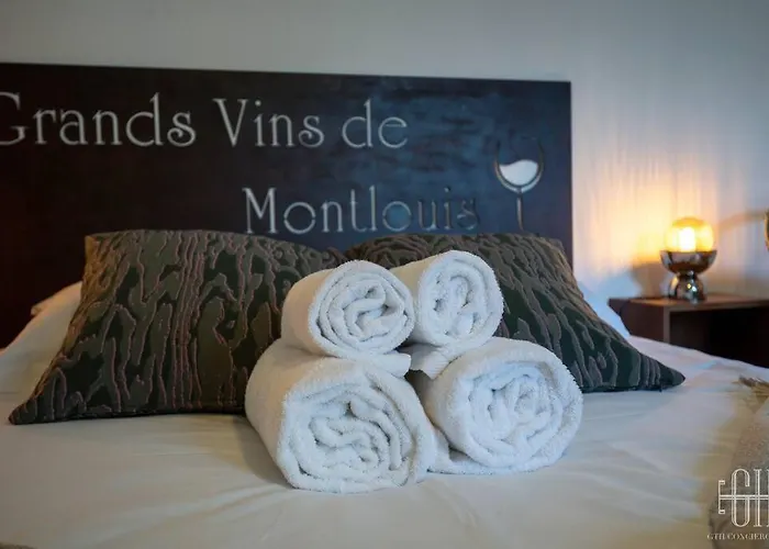 Grand - Proche Bord De Loire - Wifi Appartamento *