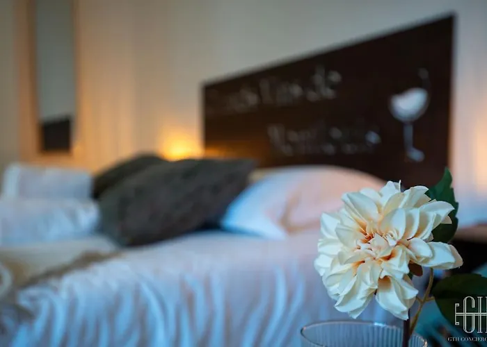 Appartamento Grand - Proche Bord De Loire - Wifi *