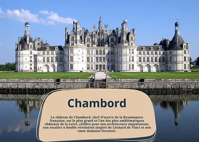 Grand - Proche Bord De Loire - Wifi Appartamento *